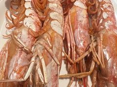 -星伦多自助料理(爱琴海店)