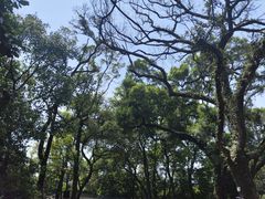 -广州市白云山风景名胜区