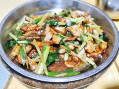 姜葱焖鸭嘴鱼-鲤鱼塘农家山庄