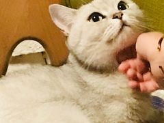 -不舍昼夜咖啡馆