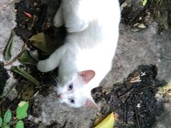 -玥汐·3D影院式足道SPA(万泰城店)