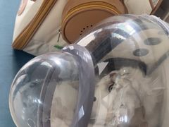 -美联众合动物医院·24h京西诊疗中心