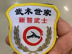-武术世家少儿培训中心(首都体育学院店)