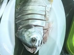 -小海豚•老字号海鲜餐厅(天涯店)