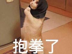 -星鸿社重庆老火锅