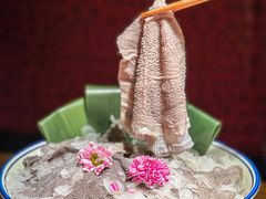 -九鼎轩脆毛肚火锅(三钢里店)