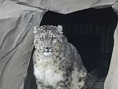 -青藏高原野生动物园