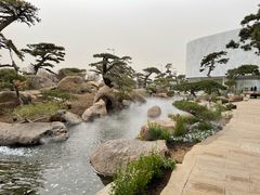 -罗红摄影艺术馆