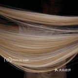 舌尖上的中国——魔都中原菜探店报告