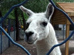 -长白岛森林公园