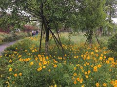 -桤木河湿地公园