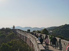 -黄贤森林公园