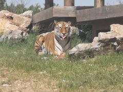 -鄂尔多斯野生动物园