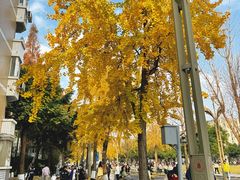 -四川大学(望江校区)