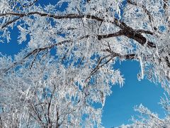 -太子岭滑雪场
