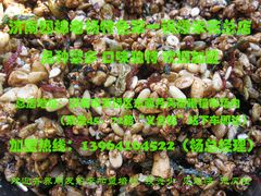 -正宗老杨特色爆米花(四棉店)