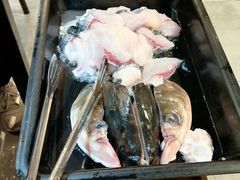 -大拿渔火锅(万豪白领富贵西园店)