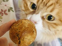 -西区老大房(愚园路店)