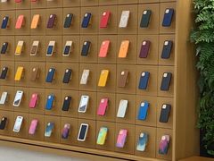-Apple零售店(苏州店)