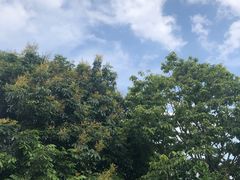 -火炉山森林公园