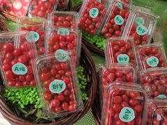 -百果园(万科金悦香树店)