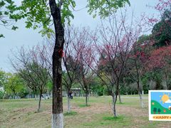 -火炉山森林公园