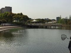 -新江湾城公园