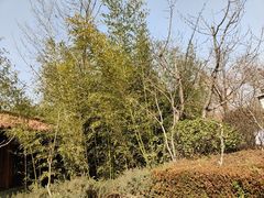 -麦积山温泉