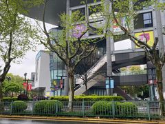 -宝珠奶酪(浦东金桥店)