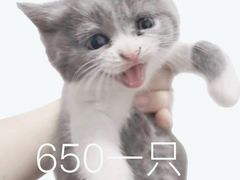 -127陈设艺术产业园-A座