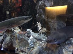 -石葵(锦业时代店)