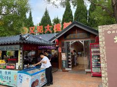 -大槐树寻根祭祖园