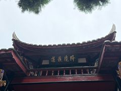 -青城山