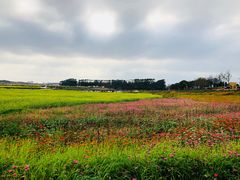 -光明小镇欢乐田园
