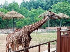 -北京野生动物园