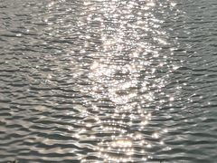 -三垟湿地
