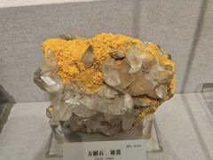 -湖南省地质博物馆