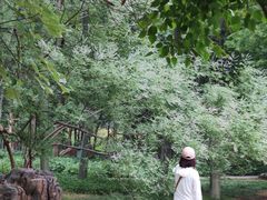 -洛阳市隋唐城遗址植物园