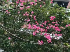 -广东金融学院(校本部)