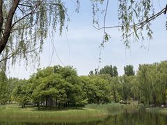 -圣露庄园·露营·烤肉·亲子