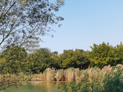 -Supine Bistro溯泮餐厅