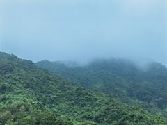 -梧桐山风景名胜区
