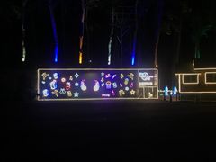 -枫花园汽车电影院(朝阳公园店)