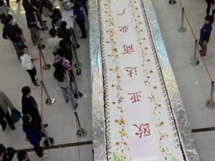 android_upload_pic-欧亚达商业广场(红桥店)