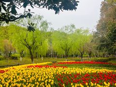 -上海鲜花港
