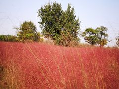 -汉长安城未央宫国家考古遗址公园