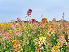 -中国天府农业博览园