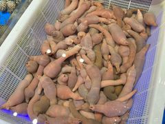-九號院子海鲜烧烤