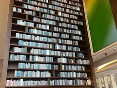 -深圳湾木棉花酒店