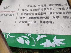 -白塘生态植物园